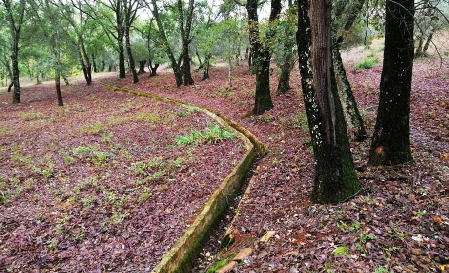 Finca La Liserilla غالاروثا المظهر الخارجي الصورة