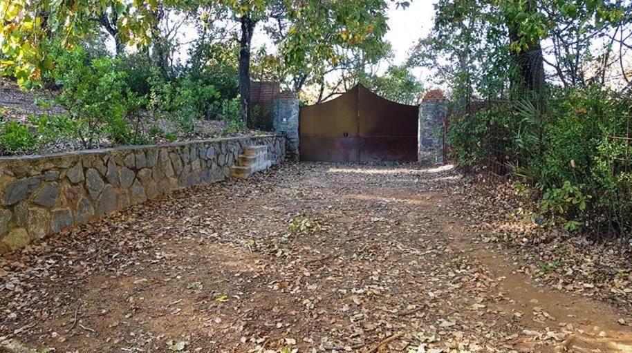 Finca La Liserilla غالاروثا المظهر الخارجي الصورة
