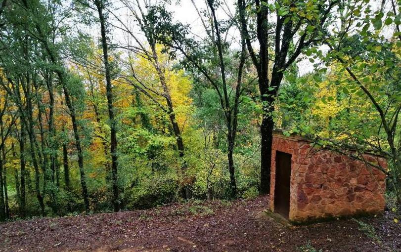 Finca La Liserilla غالاروثا المظهر الخارجي الصورة